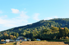 地方移住希望ランキング！上位の都道府県は？